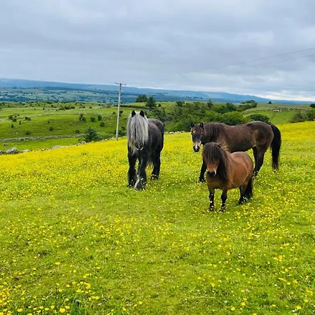 Kathleen's Carrowkeel * Sligo