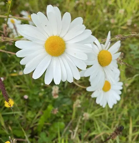 Feriehus Kathleen's Carrowkeel