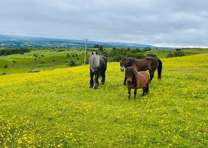 Kathleen's Carrowkeel * סליגו
